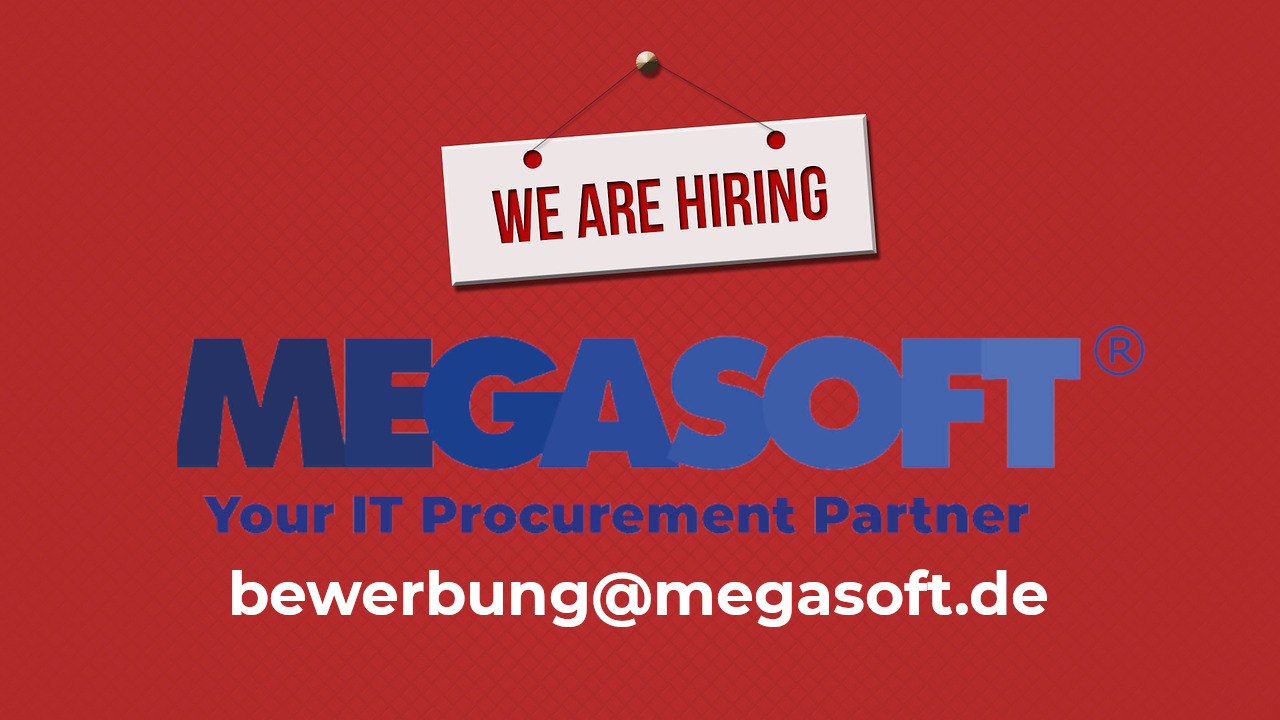 Stellenausschreibung: Buchhalter (m/w/d) - Megasoft IT®